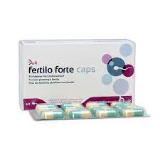Фертило Форте-денк №60 капсул Denk Pharma